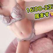 ヒメ日記 2026/04/22 12:11 投稿 八神 かぐや SUMIRE