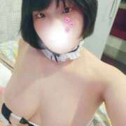 ヒメ日記 2025/12/02 11:12 投稿 ぷりん 静岡♂風俗の神様 静岡店