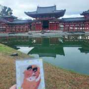 ヒメ日記 2025/12/15 16:18 投稿 ぷりん 静岡♂風俗の神様 静岡店