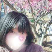 ヒメ日記 2026/02/18 00:08 投稿 ぷりん 静岡♂風俗の神様 静岡店