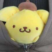 ヒメ日記 2026/02/19 10:18 投稿 ぷりん 静岡♂風俗の神様 静岡店