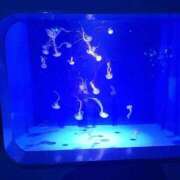 ヒメ日記 2026/03/17 19:28 投稿 ぷりん 静岡♂風俗の神様 静岡店