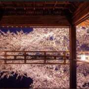 ヒメ日記 2026/03/30 08:58 投稿 ぷりん 静岡♂風俗の神様 静岡店