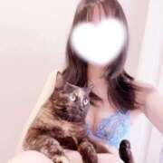 響/ひびき　centu にち！ STYLISH BACH