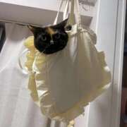 ヒメ日記 2026/05/21 10:49 投稿 響/ひびき　centu STYLISH BACH