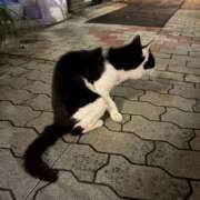 ヒメ日記 2026/09/13 15:42 投稿 響/ひびき　centu STYLISH BACH