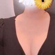 ヒメ日記 2025/11/19 10:37 投稿 江藤　亜美 東京ローズマリー