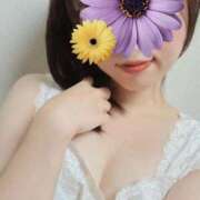 ヒメ日記 2025/09/16 23:54 投稿 江藤 ローズマリー大塚