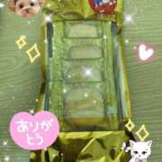 ヒメ日記 2025/11/02 18:49 投稿 まりあ One More 奥様　松戸店