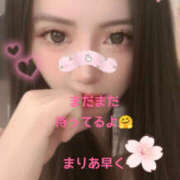 ヒメ日記 2025/11/24 11:14 投稿 まりあ One More 奥様　松戸店