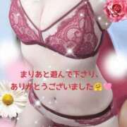 ヒメ日記 2025/12/11 13:04 投稿 まりあ One More 奥様　松戸店