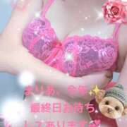 ヒメ日記 2025/12/28 10:44 投稿 まりあ One More 奥様　松戸店