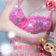 ヒメ日記 2025/12/29 08:44 投稿 まりあ One More 奥様　松戸店