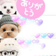 ヒメ日記 2026/04/15 10:16 投稿 まりあ One More 奥様　松戸店