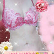 ヒメ日記 2026/04/28 05:04 投稿 まりあ One More 奥様　松戸店