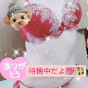 ヒメ日記 2026/04/29 14:44 投稿 まりあ One More 奥様　松戸店