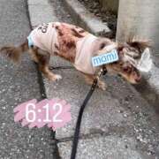 ヒメ日記 2025/10/14 06:49 投稿 まみ ワンダーホール24in幕張