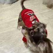 ヒメ日記 2025/10/25 22:40 投稿 まみ ワンダーホール24in幕張