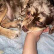 ヒメ日記 2025/10/27 07:44 投稿 まみ ワンダーホール24in幕張