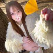 ヒメ日記 2025/12/05 19:40 投稿 まみ ワンダーホール24in幕張