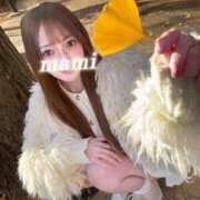 ヒメ日記 2026/01/31 11:17 投稿 まみ ワンダーホール24in幕張