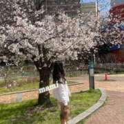 まみ 花より…💭 ワンダーホール24in幕張