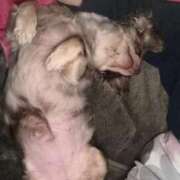 ヒメ日記 2025/11/19 08:40 投稿 まみ ワンダーホール24