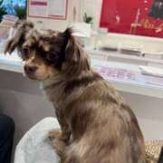 ヒメ日記 2025/12/10 16:43 投稿 まみ ワンダーホール24