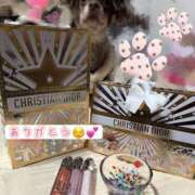 ヒメ日記 2025/12/13 23:18 投稿 まみ ワンダーホール24