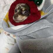 ヒメ日記 2025/12/14 10:48 投稿 まみ ワンダーホール24