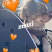 ヒメ日記 2026/01/23 11:42 投稿 まみ ワンダーホール24