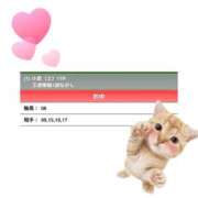 ヒメ日記 2026/01/24 17:12 投稿 まみ ワンダーホール24