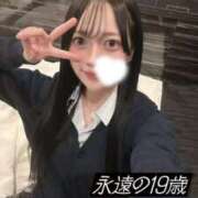 ヒメ日記 2026/01/24 23:53 投稿 まみ ワンダーホール24