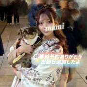 ヒメ日記 2026/01/25 07:01 投稿 まみ ワンダーホール24