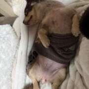 ヒメ日記 2026/02/15 12:03 投稿 まみ ワンダーホール24