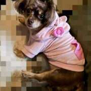 ヒメ日記 2026/04/01 20:31 投稿 まみ ワンダーホール24