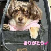 ヒメ日記 2026/04/04 19:01 投稿 まみ ワンダーホール24