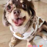 ヒメ日記 2026/04/18 17:22 投稿 まみ ワンダーホール24