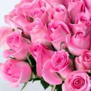 ヒメ日記 2025/09/14 10:36 投稿 れいな 尼妻（あまづま）