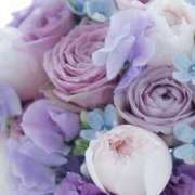 ヒメ日記 2025/09/16 11:24 投稿 れいな 尼妻（あまづま）