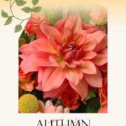 ヒメ日記 2025/09/21 12:11 投稿 れいな 尼妻（あまづま）