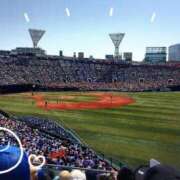 ヒメ日記 2025/09/20 09:22 投稿 はな sakura