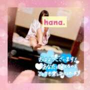 はな はなきん🌸 sakura