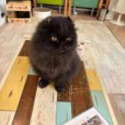 ヒメ日記 2025/10/24 00:03 投稿 梅本あいり 西川口風俗ド淫乱ンド