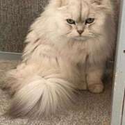 梅本あいり こんにちわ＾＾ 西川口風俗ド淫乱ンド