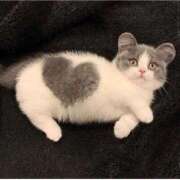 梅本あいり ありがとうございました 西川口風俗ド淫乱ンド