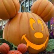 ヒメ日記 2025/10/13 01:31 投稿 ミユ ラブコレクション