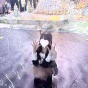 ヒメ日記 2025/12/06 00:24 投稿 あい 舐めたくてグループ〜ペロンチョ学園〜八王子校