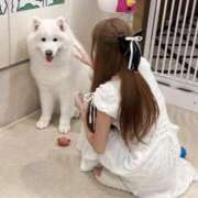 ヒメ日記 2026/09/19 21:29 投稿 あい 舐めたくてグループ〜ペロンチョ学園〜八王子校