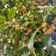 ヒメ日記 2025/10/10 10:14 投稿 ゆかり 出会い系人妻ネットワーク 春日部〜岩槻編